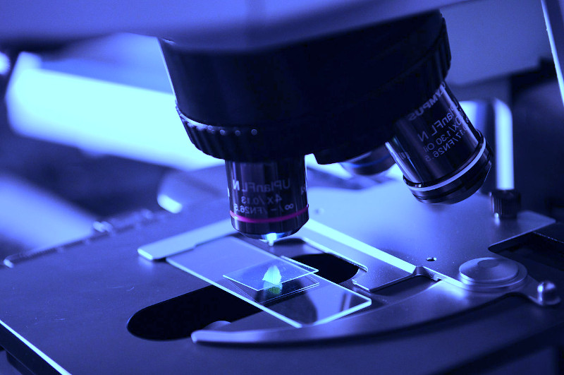 Forensic evidence examined under a microscope
